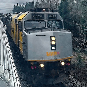 Via Rail train passing it's sister train